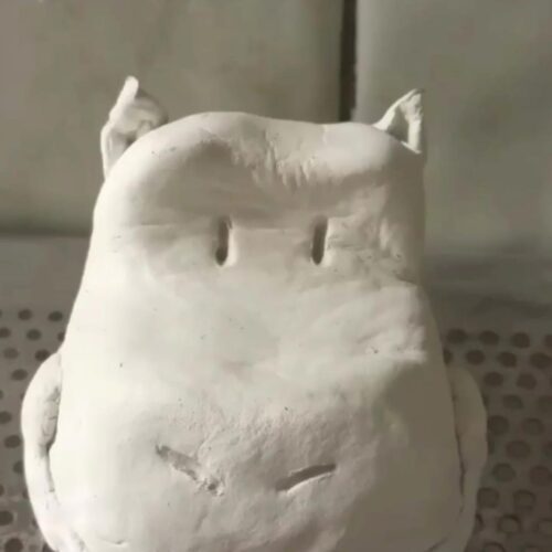 Cabeza de Hipopótamo blanco