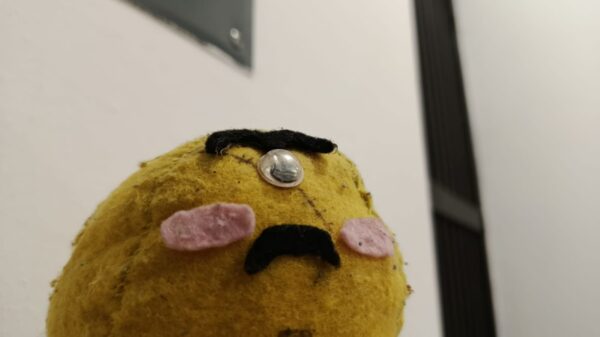 PELUCHE MINIONARDO